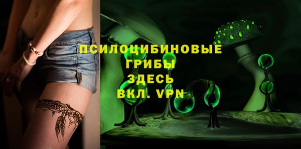 бошки Верхний Тагил