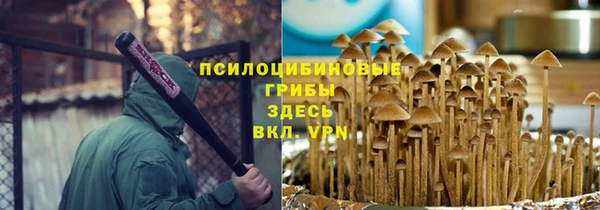 бошки Верхний Тагил